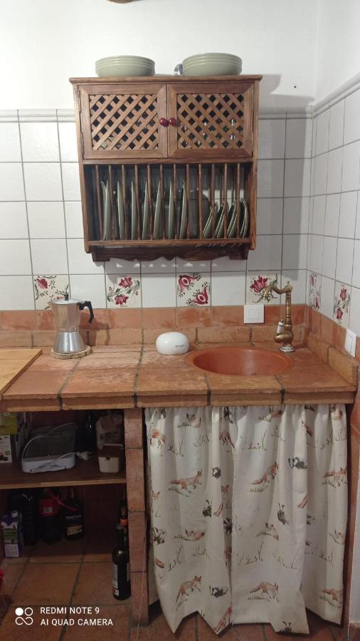 Hébergement de vacances La Casa De La Lobita